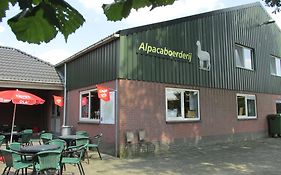 De Alpacaboerderij